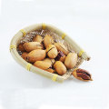 top grade low prices pecan nuts for sale